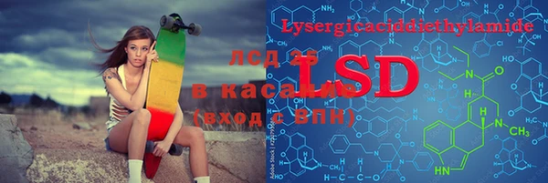 шишки Нея