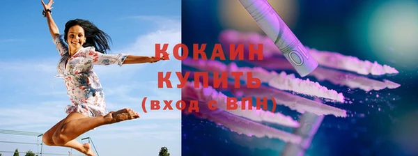шишки Нея