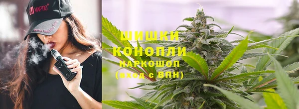 шишки Нея