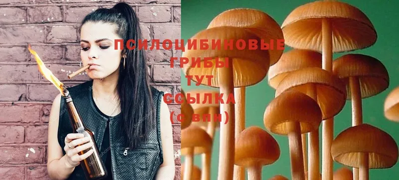 Псилоцибиновые грибы Magic Shrooms  Ахтубинск 