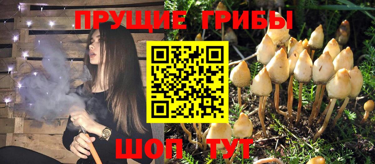 Галлюциногенные грибы Magic Shrooms  Ахтубинск 