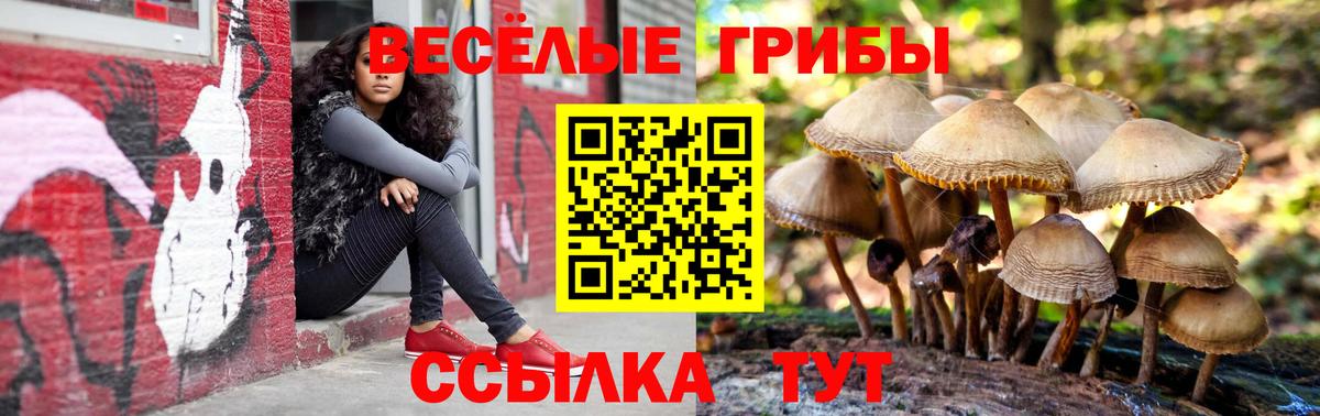 Псилоцибиновые грибы Cubensis Ахтубинск