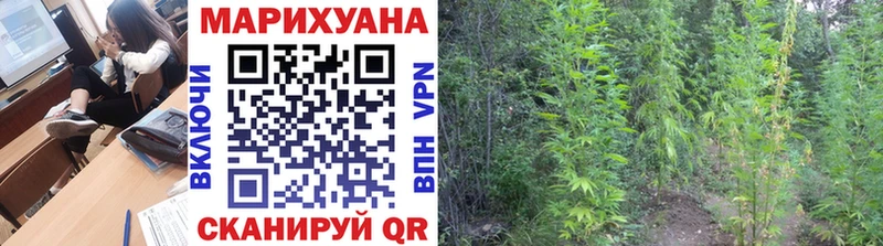 Шишки марихуана VHQ Ахтубинск
