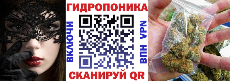 Бошки Шишки план  Ахтубинск 