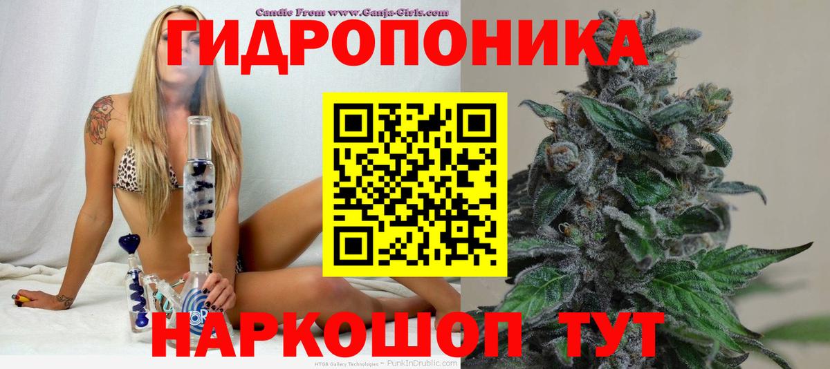 Галлюциногенные грибы Ахтубинск