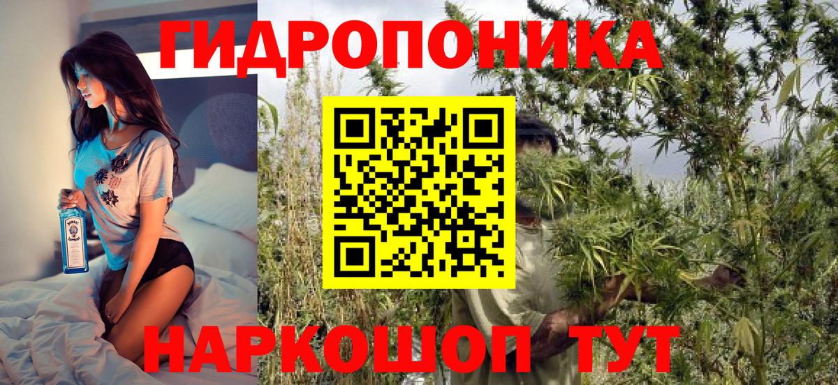 Конопля OG Kush  Каннабис сатива  Бошки Шишки марихуана  Вход с VPN  Ахтубинск 